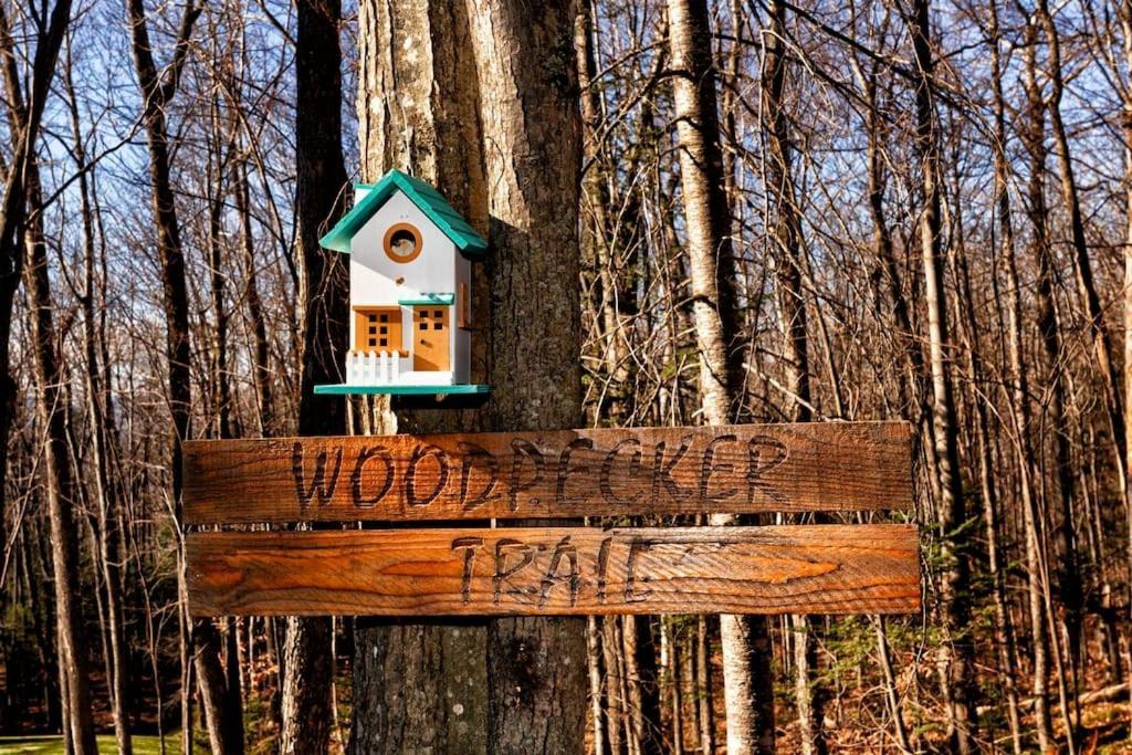 Chalet Woodpecker Lodge - Chaleureux Avec Foyer. Orford 외부 사진